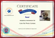 Locked Certificate Preview