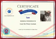 Locked Certificate Preview