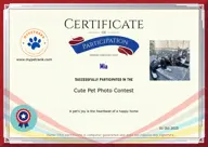 Locked Certificate Preview