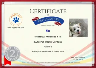 Certificate Preview
